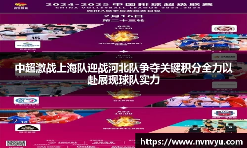 中超激战上海队迎战河北队争夺关键积分全力以赴展现球队实力